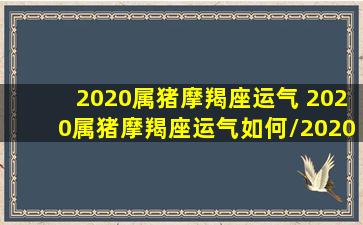 2020属猪摩羯座运气 2020属猪摩羯座运气如何/2020属猪摩羯座运气 2020属猪摩羯座运气如何-我的网站